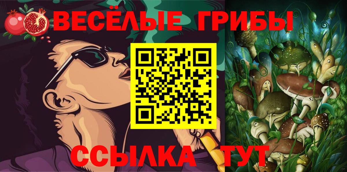 Чусовой  Псилоцибиновые грибы GOLDEN TEACHER  Вход с VPN 