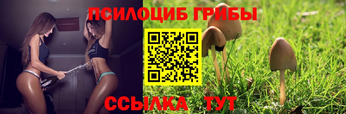 Галлюциногенные грибы прущие грибы Чусовой